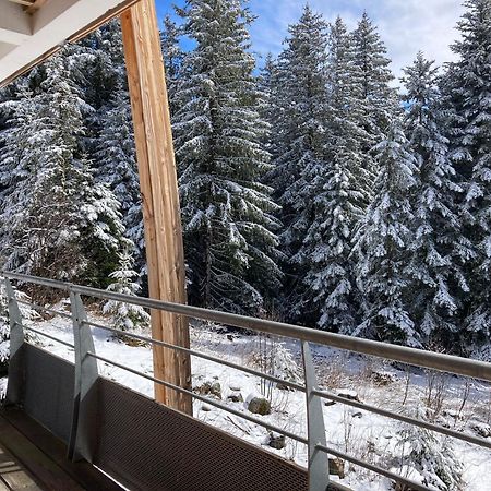 Studio Chamrousse 1700 Pour 4 Personnes - Au Calme - Avec Wifi Exteriör bild