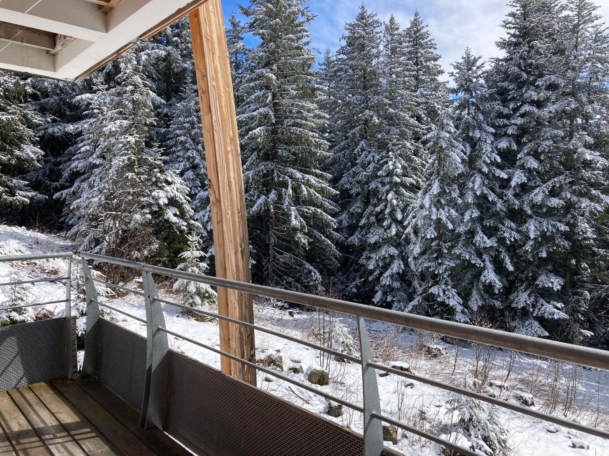 Studio Chamrousse 1700 Pour 4 Personnes - Au Calme - Avec Wifi Exteriör bild